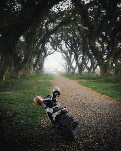 Moto en una carretera en un parque