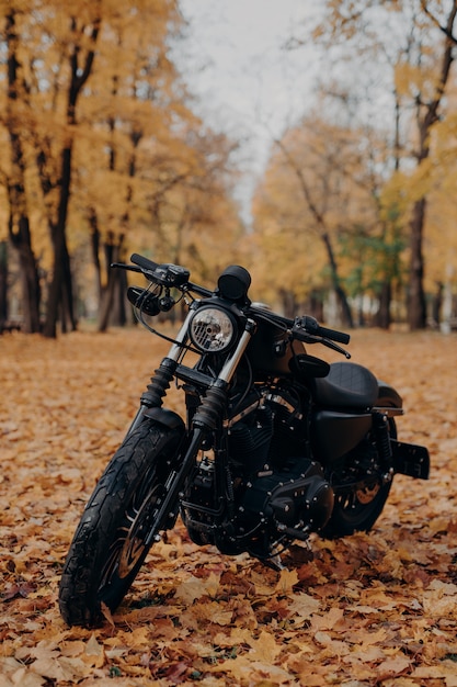 Moto negra en el parque otoño