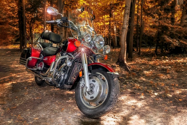 Motocicleta cruzeiro de alta potência na floresta caminho caminho da floresta outono parque ensolarado