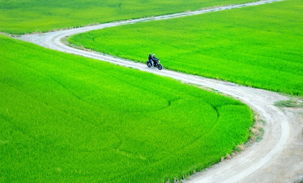 Motocicleta é passeio através de campos de arroz na Tailândia