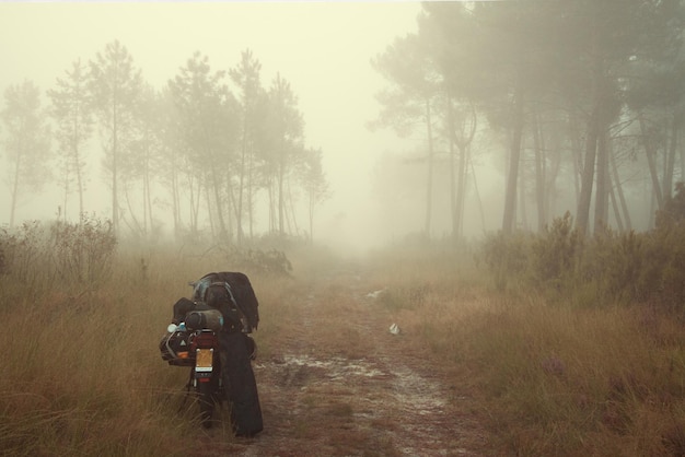 Motocicleta estacionada en el bosque durante el tiempo de niebla