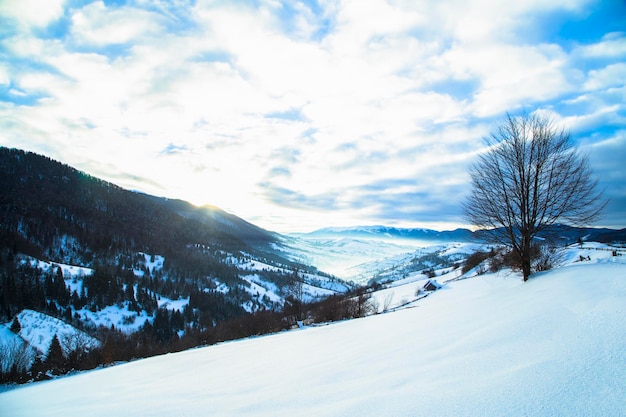 Mount Forest Hermoso panorama de invierno montañas de los Cárpatos