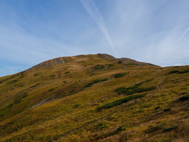 Mount Hoverla in den Karpaten in der Ukraine