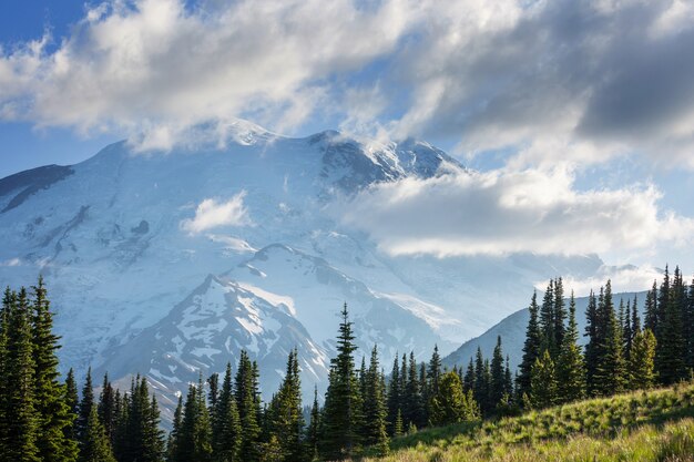 Mount Rainier Nationalpark, Washington