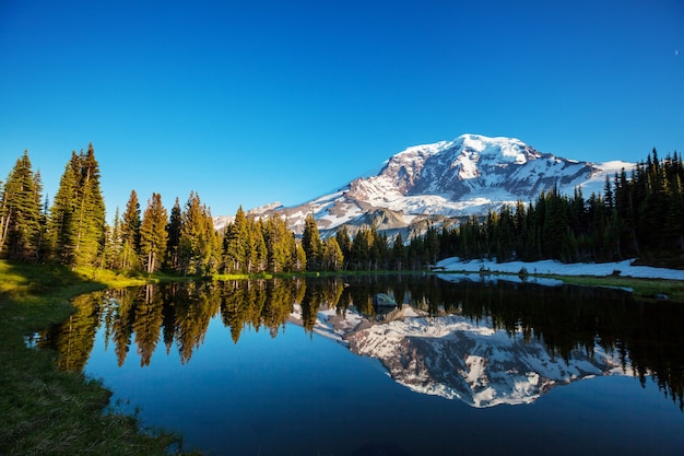 Mount Rainier Nationalpark, Washington