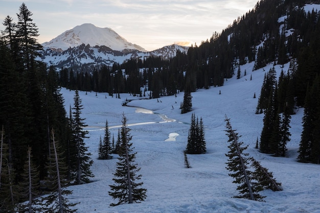 Mount Rainier