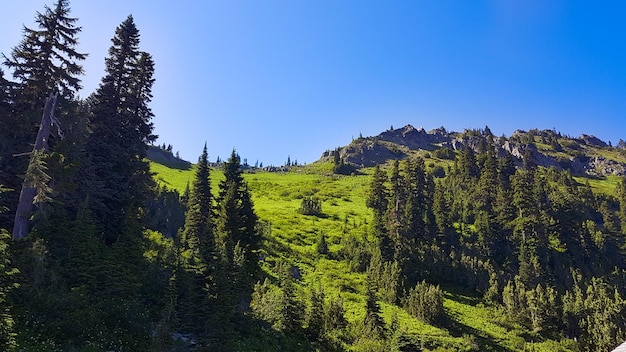 Mount Rainier