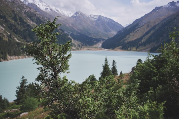 Mountain Lake Bao en Almaty. Hermosa naturaleza, paisaje verde de verano de la soleada Kazajstán