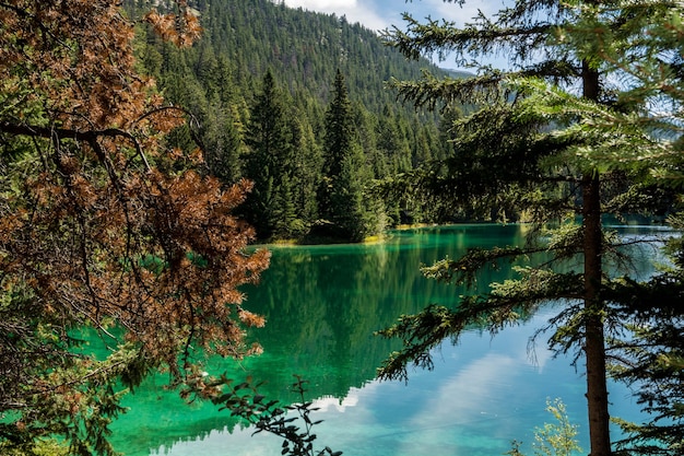 Mountain lake lindo lago nas montanhas