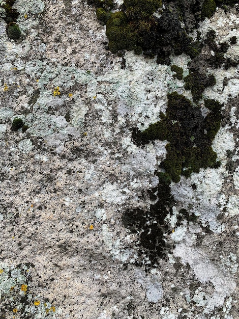 Mountain Rock-Hintergrund Rock-Textur Stone Kulisse