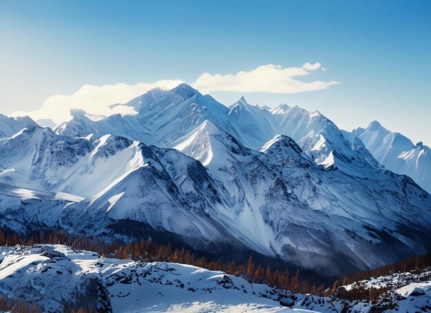 Mountain Wonderland Snowy Range em um dia claro