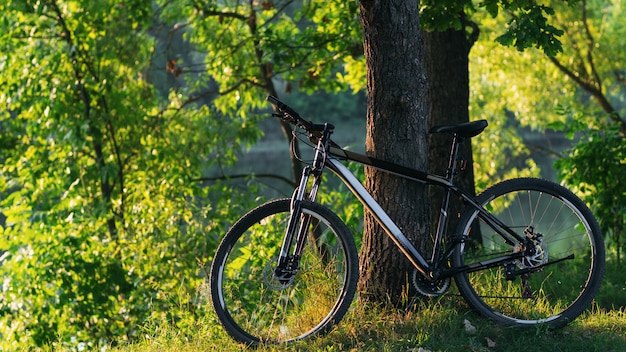 Mountainbike auf dem grünen Sommerwald. Lebensstil. Fahrrad fahren