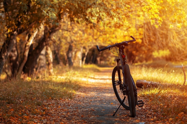 Mountainbike im Herbstwald