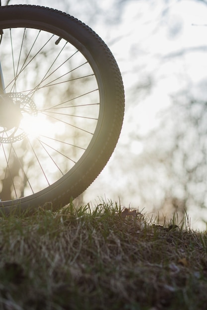 Mountainbike-Reifen-Detail. Fahrradrad bei Sonnenuntergang