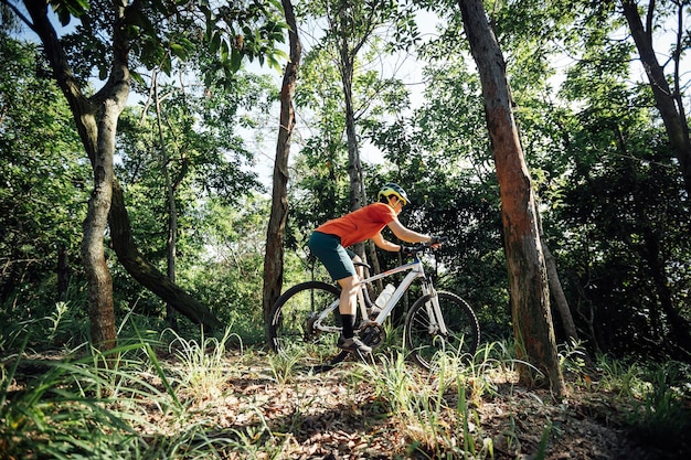 Mountainbiken im Sommerwald