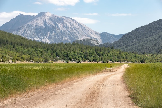 Mounth Tahtali parece entre o campo de trigo