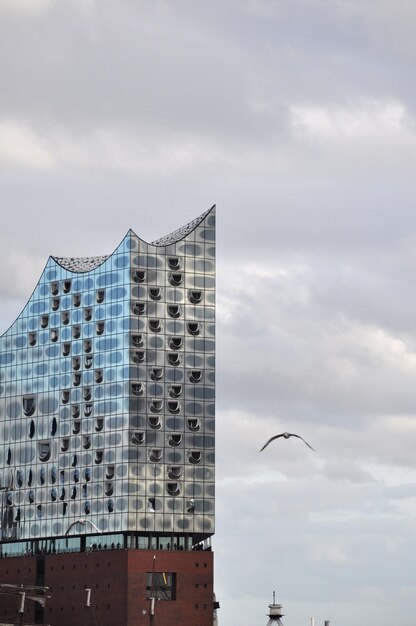 Foto move vor elbphilharmonie