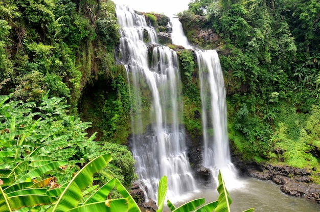 Movimento e água corrente das cachoeiras de tad yeang em bolaven plateau em paksong champasak laos