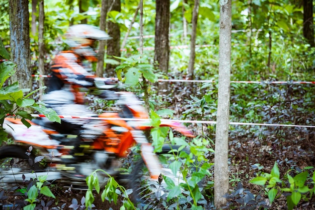 Movimento rápido de bicicletas de montanha correndo na selva