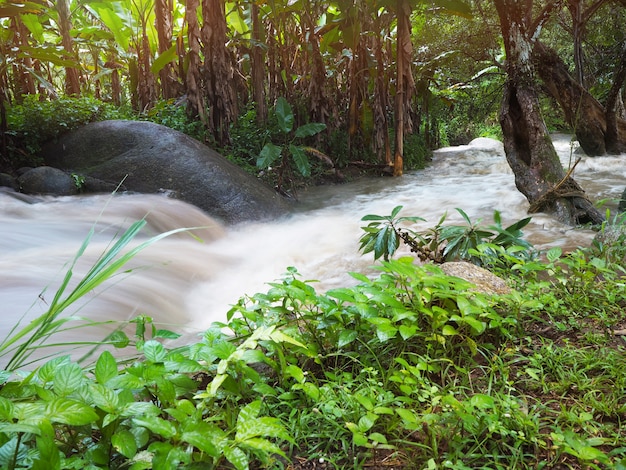 Movimiento de agua que fluye en pequeño canal