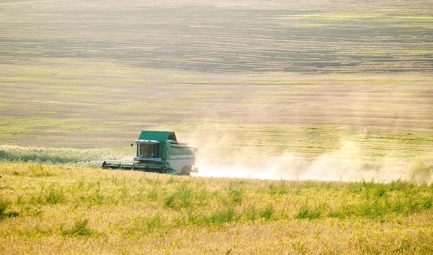 Movimiento borroso de la carretera en el campo