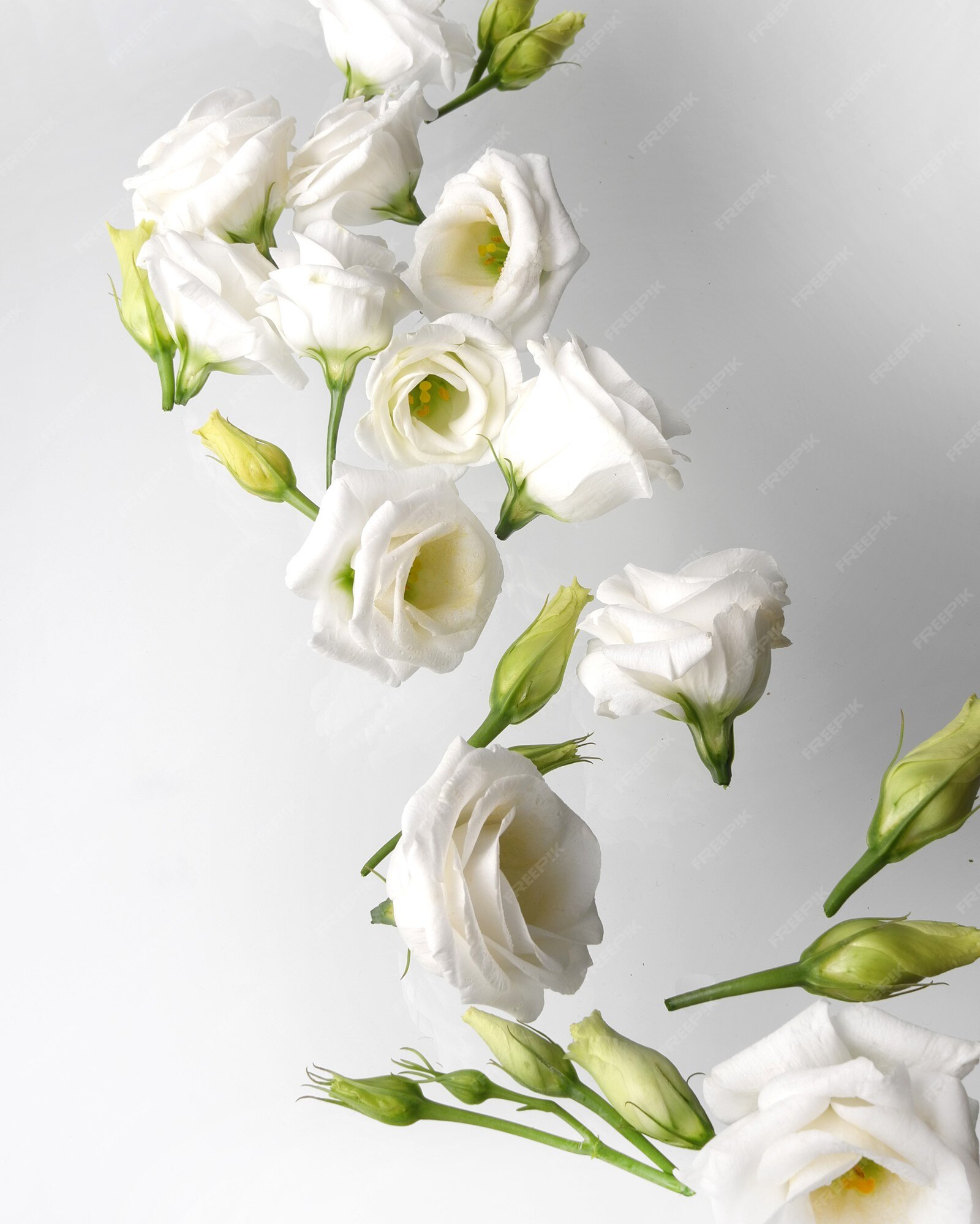 Movimiento de flores blancas. | Foto Premium Movimiento de flores blancas. | Foto Premium