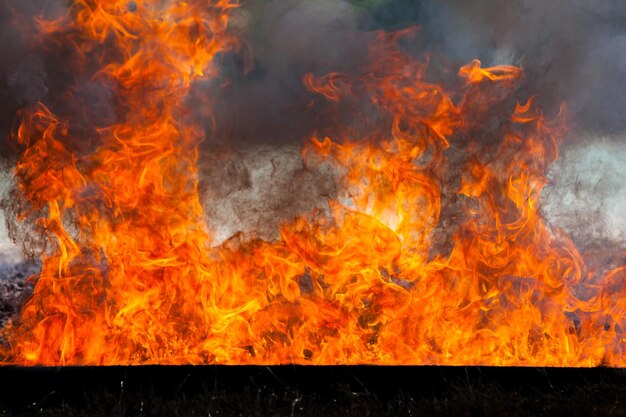 Movimiento de fuego de llama