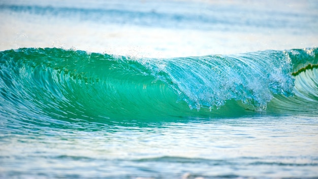 Movimiento de onda verde