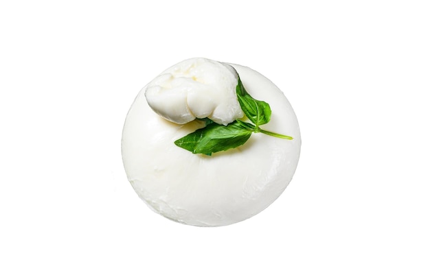 Mozzarella-Burrata-Käse mit Basilikumblättern isoliert auf weißem Hintergrund