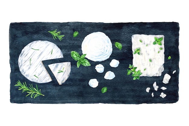 Mozzarella feta ricota e coleção de queijo bri com ervas provençais Ilustração em aquarela isolada em branco