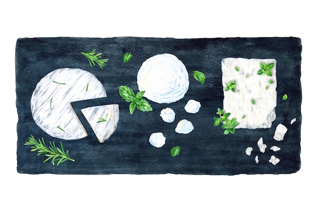 Mozzarella-Feta-Ricotta und Bri-Käse-Kollektion mit provenzalischen Kräutern Aquarellillustration isoliert auf Weiß