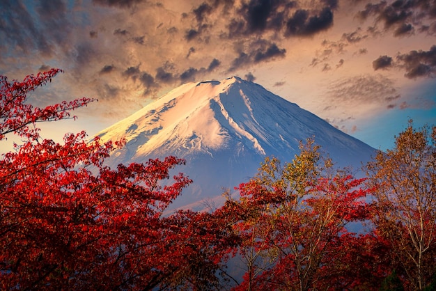 Mt Fuji am dramatischen Himmel mit Herbstlaub bei Sonnenuntergang in Fujikawaguchiko Japan