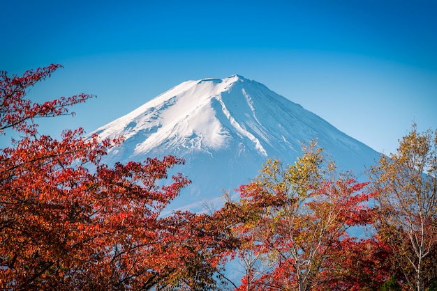 Mt. Fuji auf Hintergrund des blauen Himmels mit Herbstlaub tagsüber in Fujikawaguchiko, Japan.