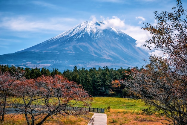 Mt. Fuji auf Hintergrund des blauen Himmels mit Herbstlaub tagsüber in Fujikawaguchiko, Japan.