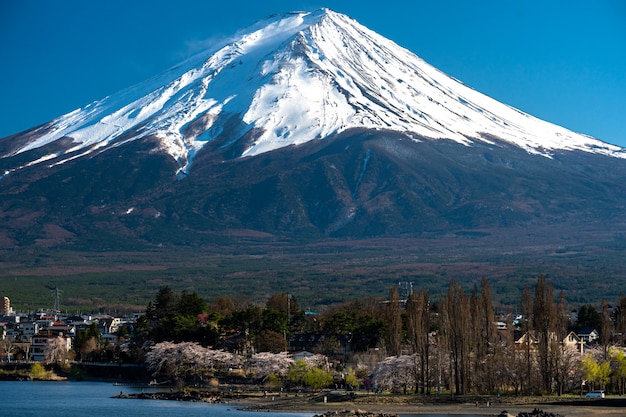 Foto mt. fuji bei kawaguchiko fujiyoshida, japan.