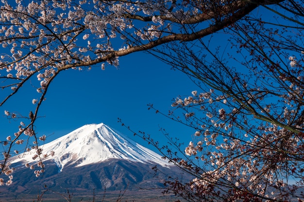 Mt. Fuji bei Kawaguchiko Fujiyoshida, Japan.