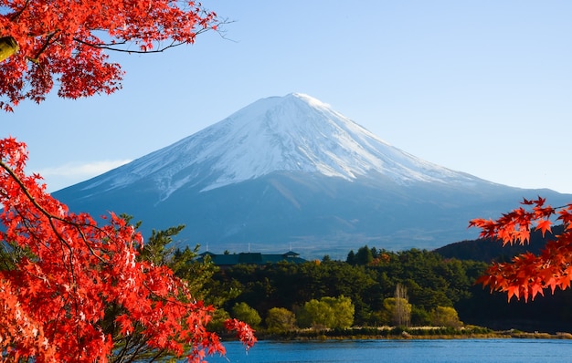 Mt Fuji im Herbst am See kawaguchiko in Japan.