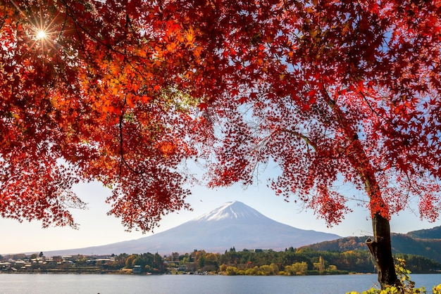 Mt. Fuji im Herbst mit roten Ahornblättern