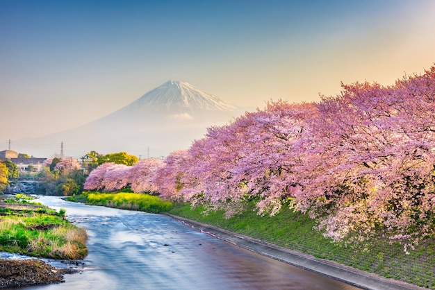 Mt Fuji Japón paisaje de primavera