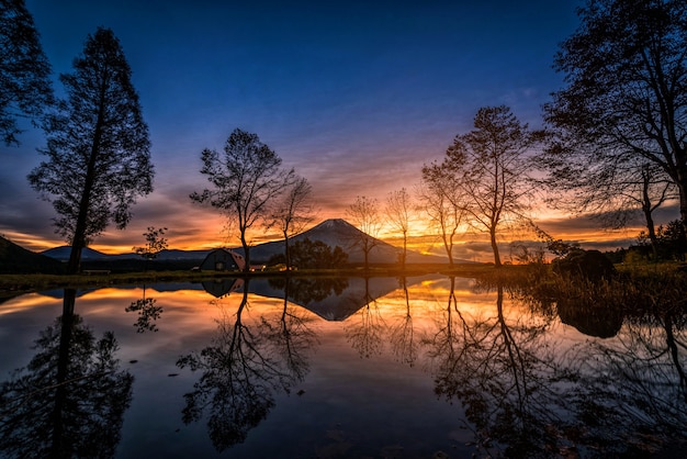 Mt. Fuji mit großen Bäumen und See bei Sonnenaufgang in Fujinomiya, Japan