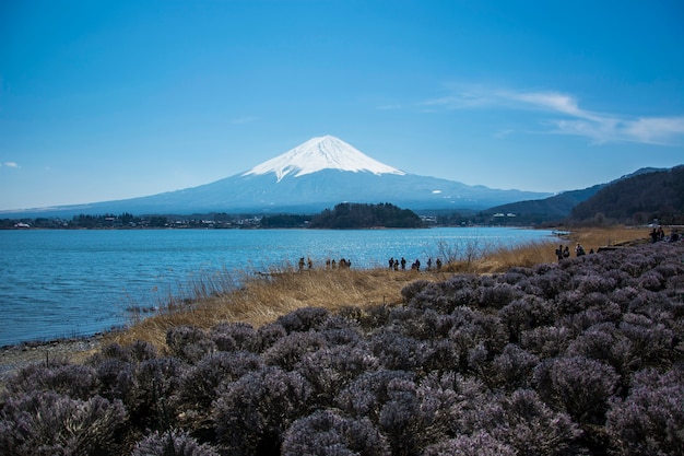 Foto mt.fuji no lago kawaguchiko