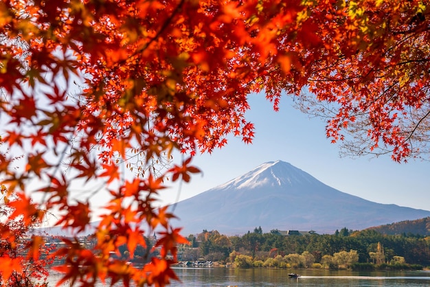 Mt fuji no outono com folhas de bordo vermelhas no lago kawaguchigo japão