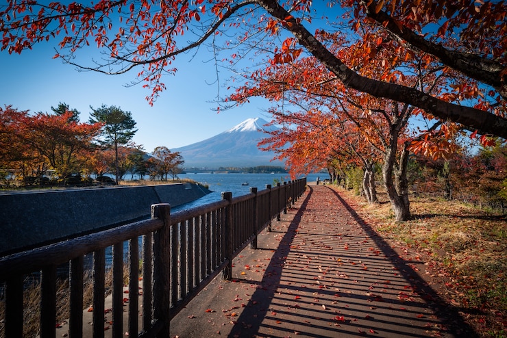 Foto mt. fuji sobre o lago kawaguchiko com folha do outono no dia em fujikawaguchiko, japão.