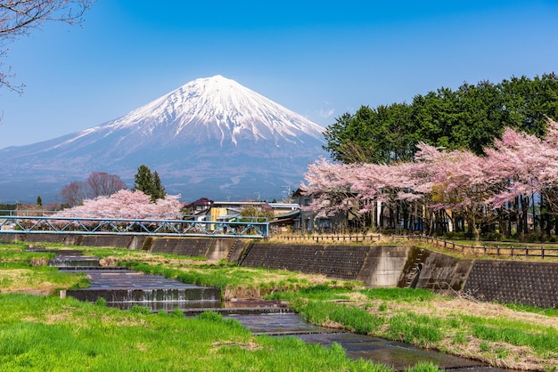 Mt Fuji visto da província rural de Shizuoka na temporada de primavera