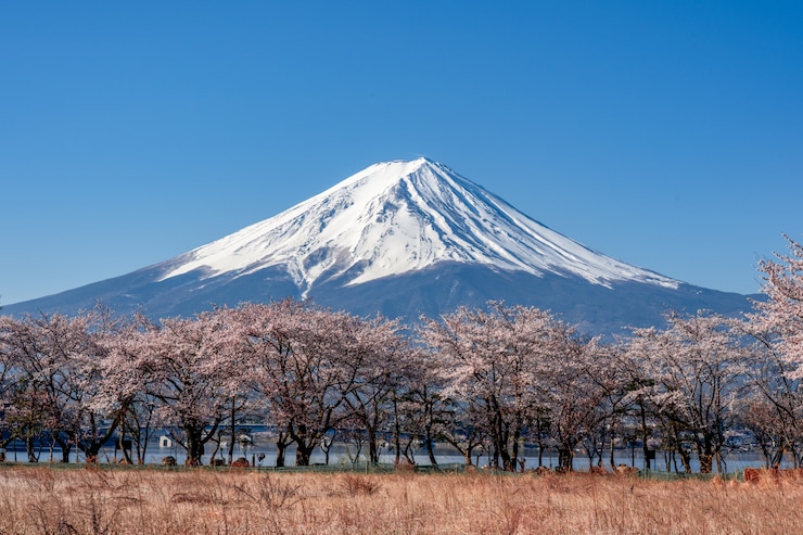 Foto mt. tempo de fuji na primavera com as flores de cerejeira no kawaguchiko fujiyoshida, japão.