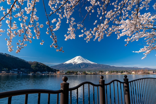 Mt. Zeit Fujis im Frühjahr mit Kirschblüten bei kawaguchiko Fujiyoshida, Japan.