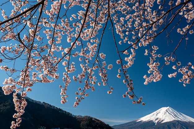 Foto mt. zeit fujis im frühjahr mit kirschblüten bei kawaguchiko fujiyoshida, japan.