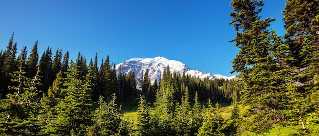 MtRainier