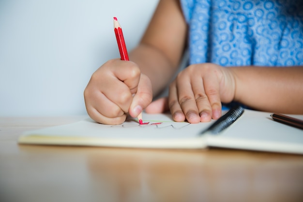 La muchacha asiática escribe a los libros de escritura.