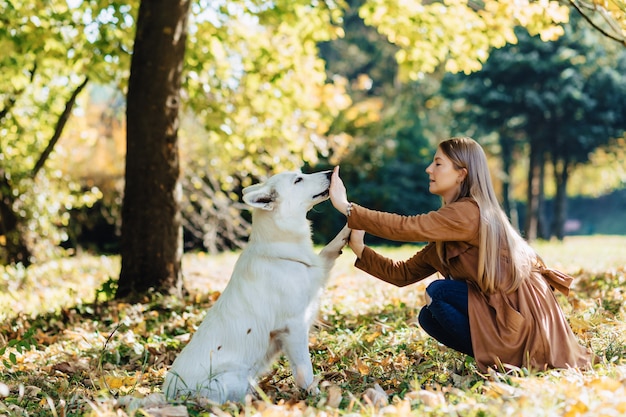 La muchacha camina en el parque del otoño con el perro de pastor suizo blanco joven